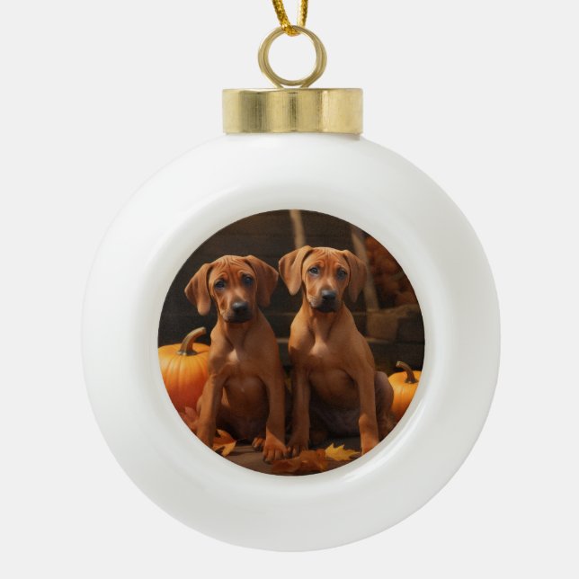 Rhodesian Ridgeback Welppy Autumn Delight Pumpkin Keramik Kugel-Ornament (Vorderseite)