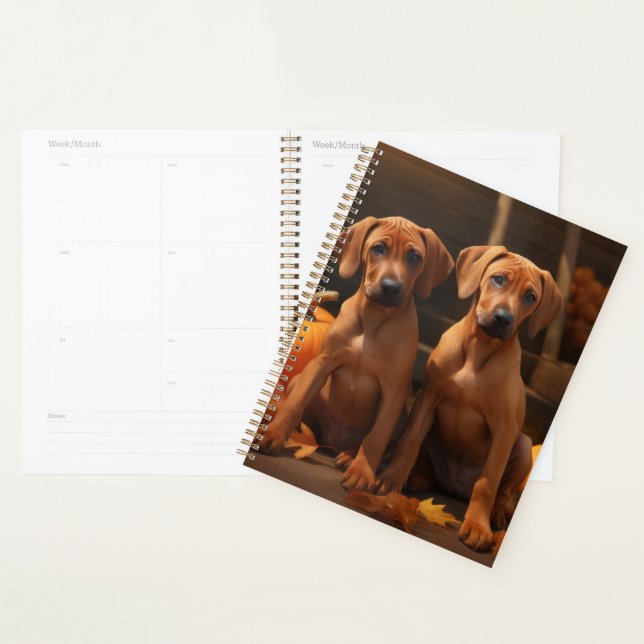Rhodesian Ridgeback Welppy Autumn Delight Pumpkin Planer (Anzeige)