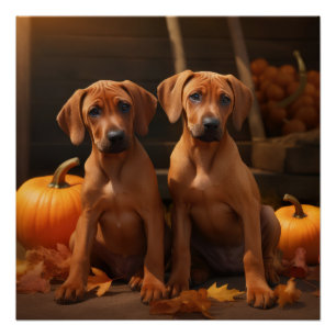 Rhodesian Ridgeback Welppy Autumn Delight Pumpkin Poster
