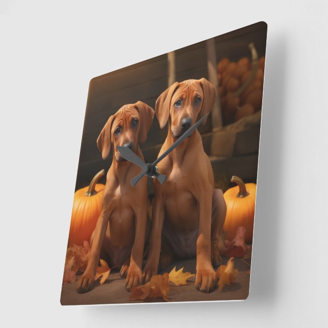 Rhodesian Ridgeback Welppy Autumn Delight Pumpkin Quadratische Wanduhr (Winkel)