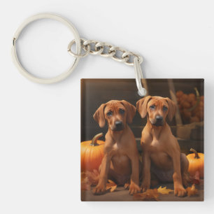 Rhodesian Ridgeback Welppy Autumn Delight Pumpkin Schlüsselanhänger