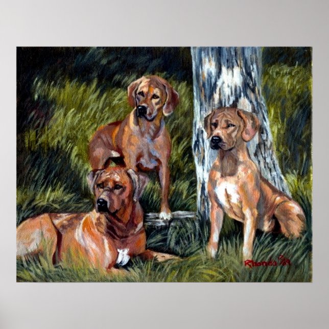 Rhodesian Ridgebacks Dog Portrait Poster (Vorne)