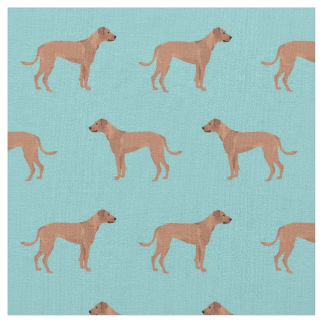 Rhodesier Rassack Hund Blau Stoff (Nahaufnahme)