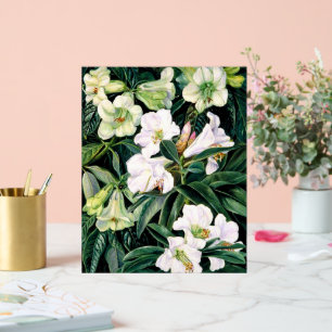 Rhododendren Acrylschild