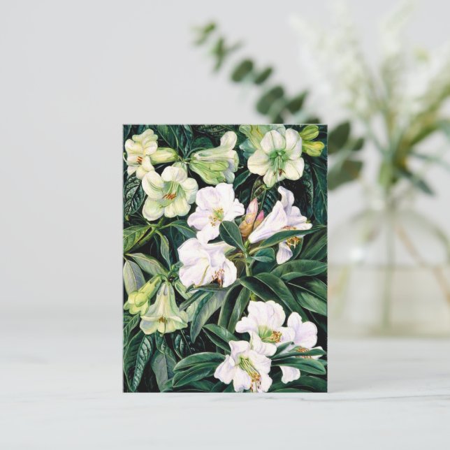 Rhododendren Postkarte (Stehend Vorderseite)