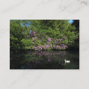 Rhododendren Visitenkarte