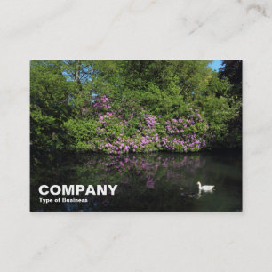 Rhododendren Visitenkarte