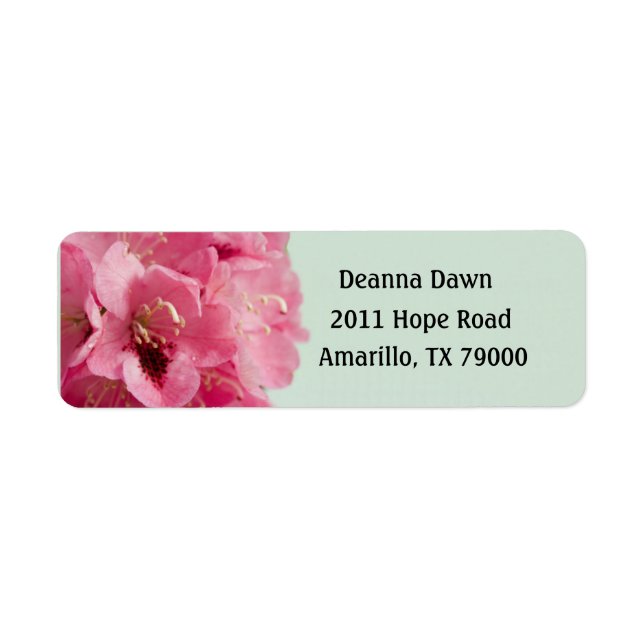 Rhododendron (Vorne)