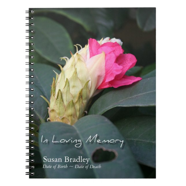 Rhododendron 2 Celebration of Life Guest Book Notizblock (Vorderseite)
