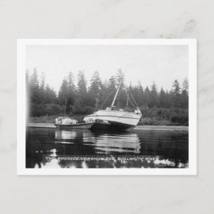 Rhododendron am Quillayute-Fluss Postkarte