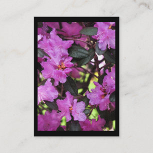 Rhododendron ATC Visitenkarte