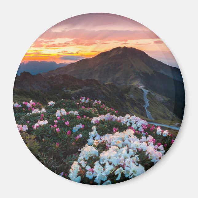 Rhododendron Blooming | Taroko-Nationalpark Magnet (Vorne)