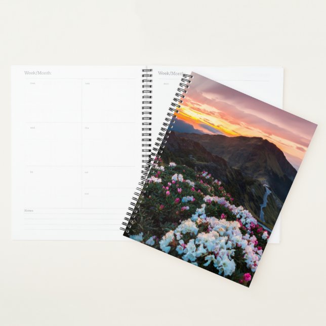 Rhododendron Blooming | Taroko-Nationalpark Planer (Anzeige)