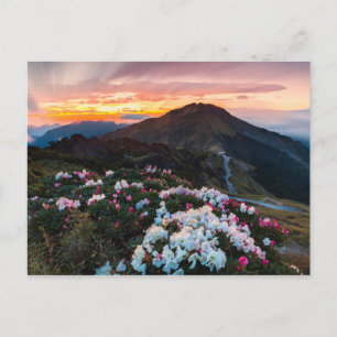 Rhododendron Blooming Taroko-Nationalpark Postkarte