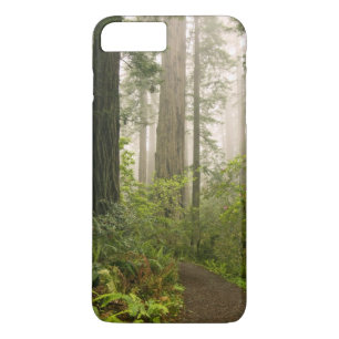 Rhododendron blühend unter den Küstenmammutbäumen Case-Mate iPhone Hülle
