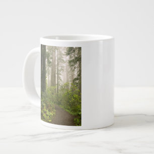 Rhododendron blühend unter den Küstenmammutbäumen  Jumbo-Tasse