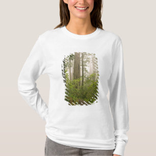 Rhododendron blühend unter den Küstenmammutbäumen T-Shirt