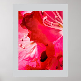 Rhododendron BLÜHT Poster