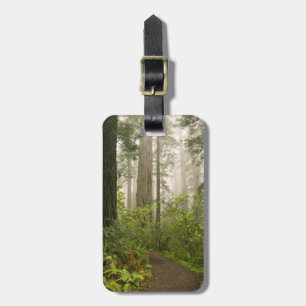 Rhododendron blüht unter den Redwood-Küstengebiete Gepäckanhänger