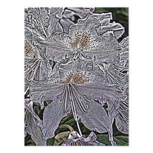 RHODODENDRON-BLUME FOTODRUCK