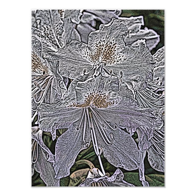 RHODODENDRON-BLUME FOTODRUCK (Vorne)
