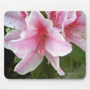Rhododendron-Blumen Mousepad