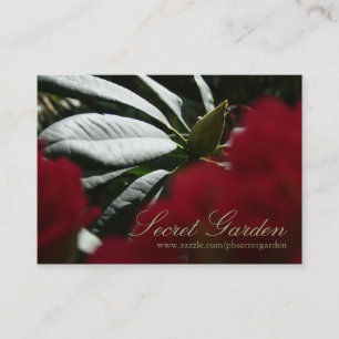 Rhododendron Floral Fotografy - Visitenkarten 3 Visitenkarte