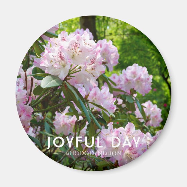 Rhododendron "Freudiger Tag" Magnet (Vorne)