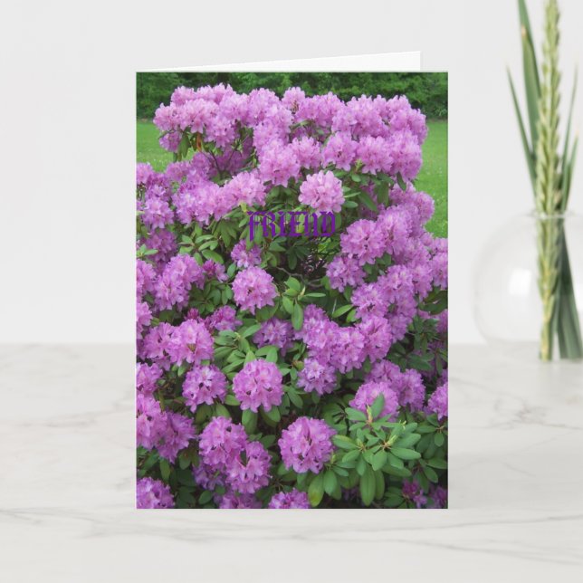 Rhododendron, Freund Karte (Vorderseite)