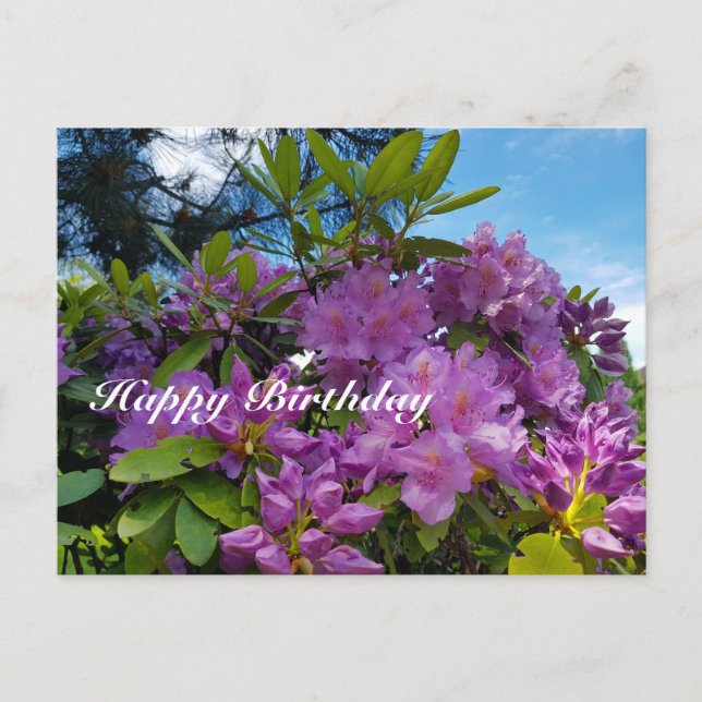 Rhododendron-Happy Birthday blühend Feiertagspostkarte (Vorderseite)