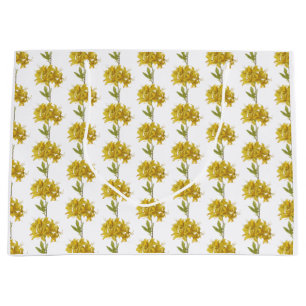 Rhododendron luteum (Pontic Azalea) Große Geschenktüte