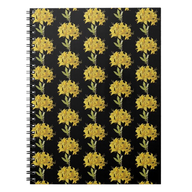 Rhododendron luteum (Pontic Azalea) Notizblock (Vorderseite)