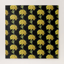 Rhododendron luteum (Pontic Azalea)