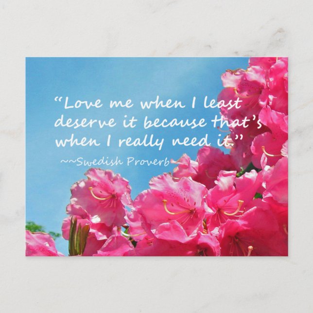 Rhododendron mit der schwedischen Postkarte (Vorderseite)