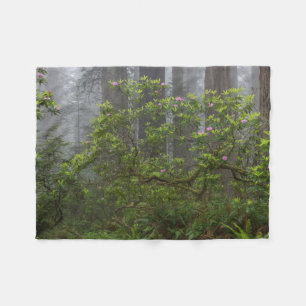 Rhododendron - Redwood-Nationalpark California Fleecedecke