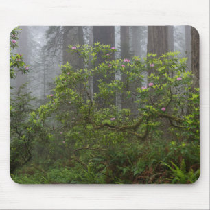 Rhododendron - Redwood-Nationalpark California Mousepad