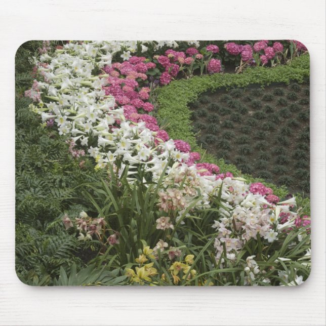 Rhododendron (Rhododendron catawbiense) Heath Mousepad (Vorne)