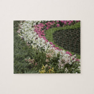Rhododendron (Rhododendron catawbiense) Heath Puzzle