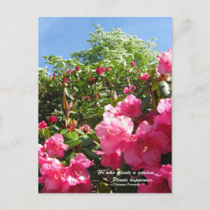 Rhododendron und Dogwood mit chinesischem Sprichwo Postkarte