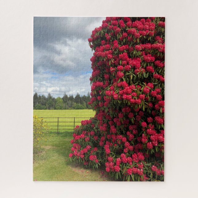Rhododendron und Landschaftlicher Blick in Schottl Puzzle (Vertikal)