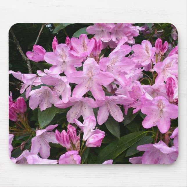 Rhododendrons II Mousepad (Vorne)