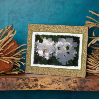 Rhododendrons Plaque Fotoplatte