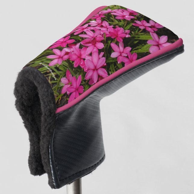 Rhodohypoxis / Roter Stern / Rosy Posy Golf Headcover (3/4 Vorderseite)