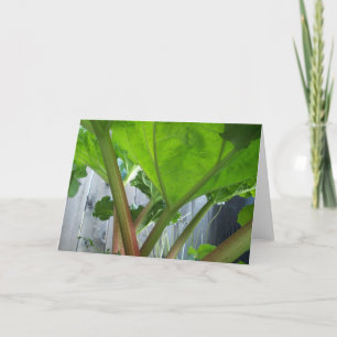 Rhubarb Card Karte