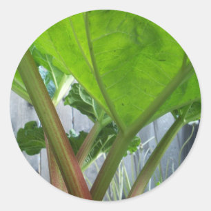 Rhubarb Runder Aufkleber