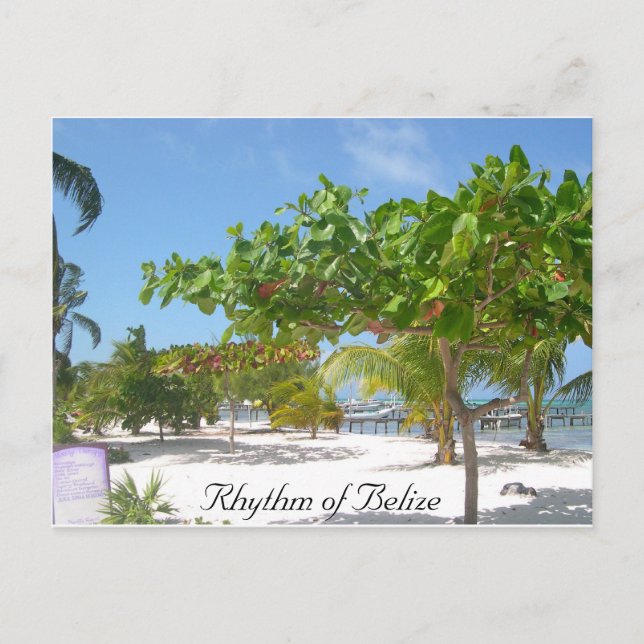 Rhythmus von Belize Postkarte (Vorderseite)