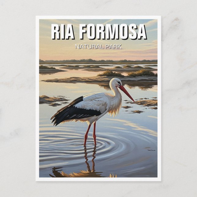 Ria Formosa Naturpark Portugal Postkarte (Vorderseite)