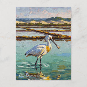 Ria Formosa Naturpark Portugal Postkarte