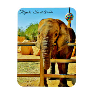Riad, Saudi-Arabien Magnet