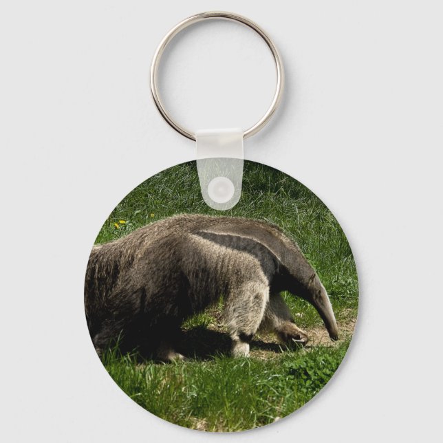 Riant Anteater Schlüsselanhänger (Vorderseite)